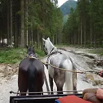 Hoellbacher By We Rent Feriehus Bad Gastein
