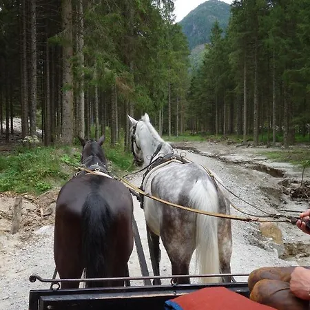 Hoellbacher Dom wakacyjny Bad Gastein