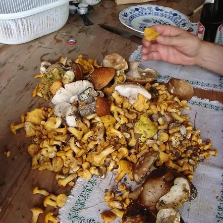 Дом отдыха Hoellbacher Бадгаштейн