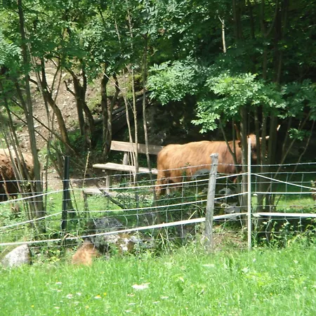 Dom wakacyjny Hoellbacher