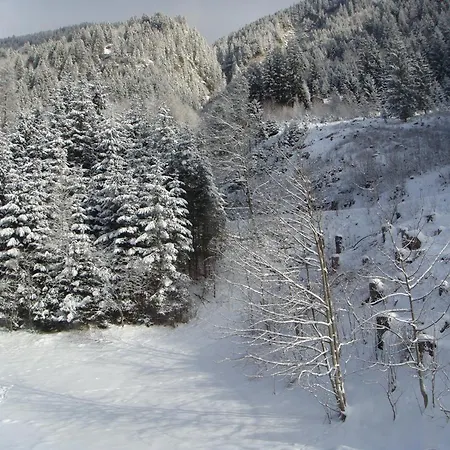 Hoellbacher Дом отдыха