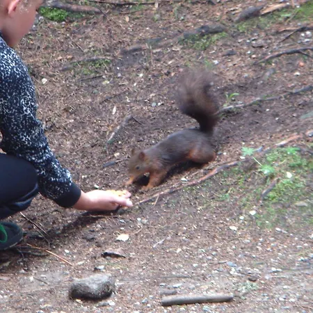 Dom wakacyjny Hoellbacher Bad Gastein