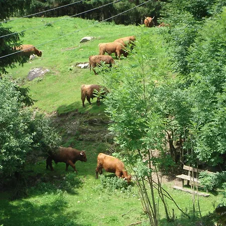 Hoellbacher Дом отдыха Бадгаштейн