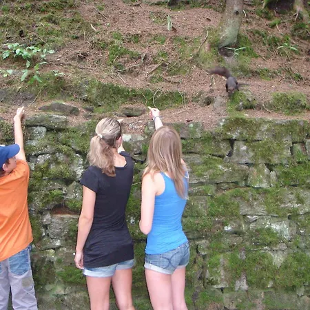 Höllbacher Ferienhaus *